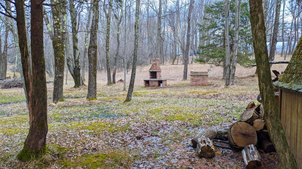 Вилла Bluebird Manor On The Water, 2 Acres & Amenities Либерти Экстерьер фото